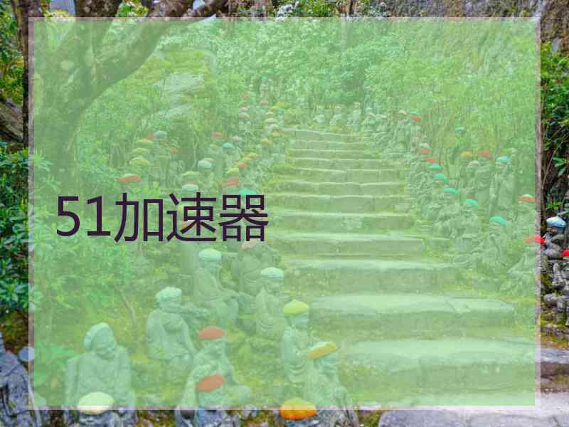 51加速器