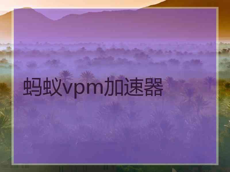 蚂蚁vpm加速器