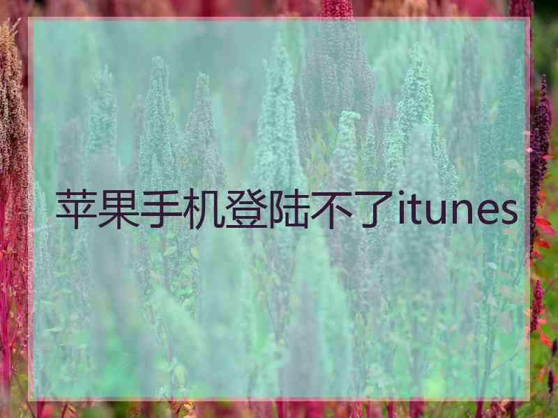 苹果手机登陆不了itunes