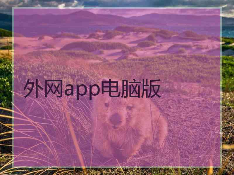 外网app电脑版