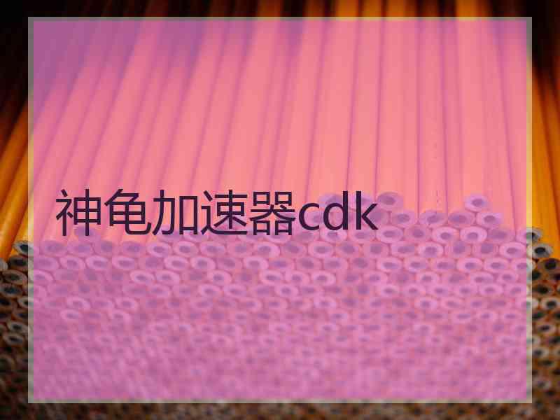 神龟加速器cdk