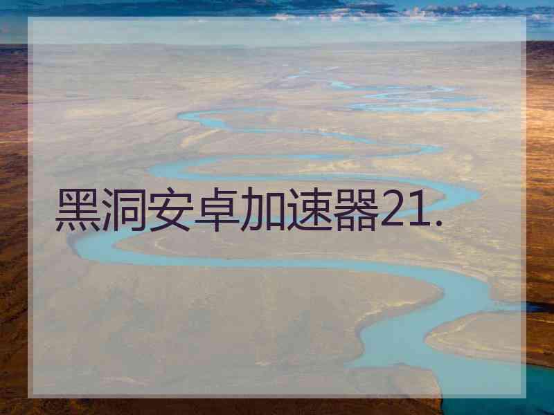 黑洞安卓加速器21.