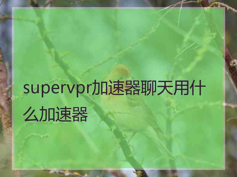 supervpr加速器聊天用什么加速器