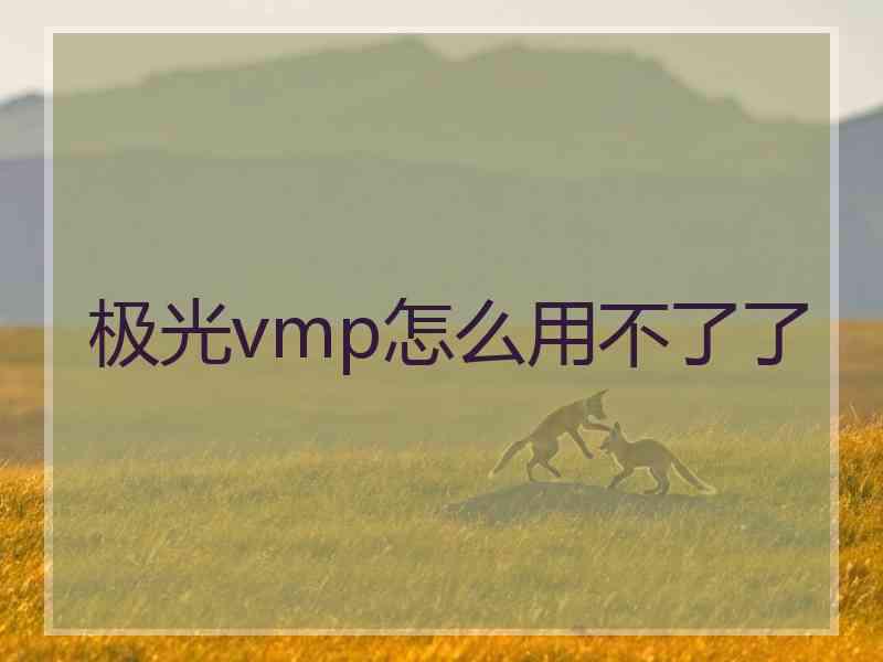 极光vmp怎么用不了了