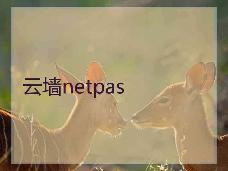 云墙netpas