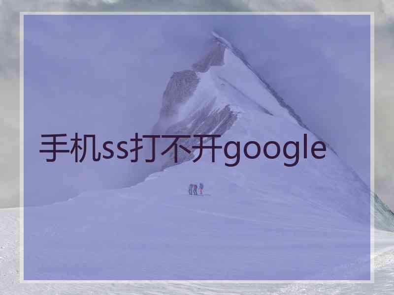 手机ss打不开google