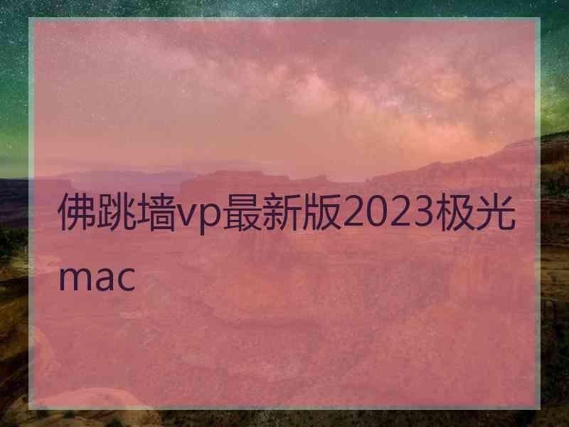 佛跳墙vp最新版2023极光 mac