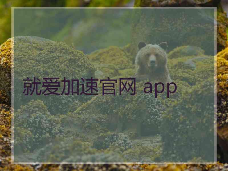 就爱加速官网 app