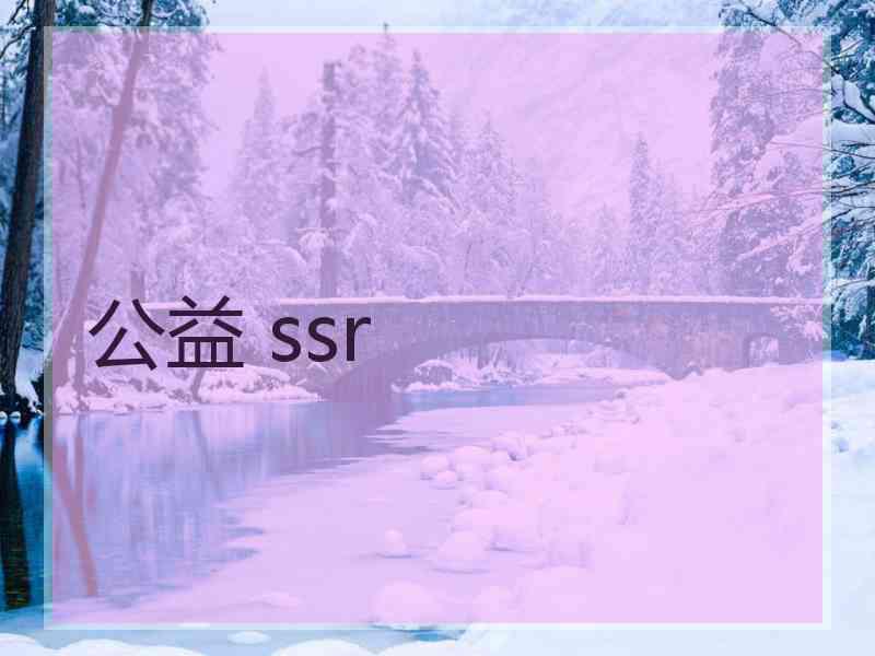 公益 ssr