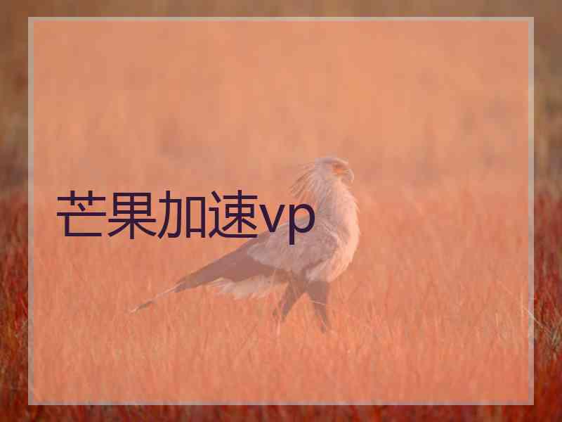 芒果加速vp