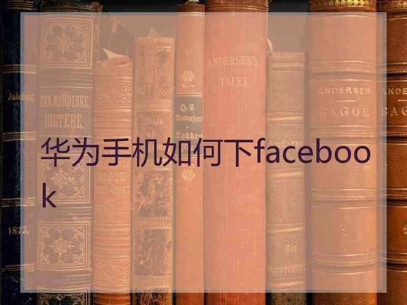 华为手机如何下facebook