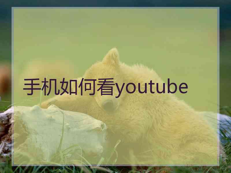 手机如何看youtube