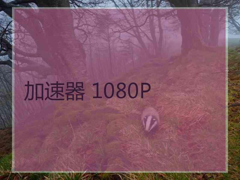 加速器 1080P