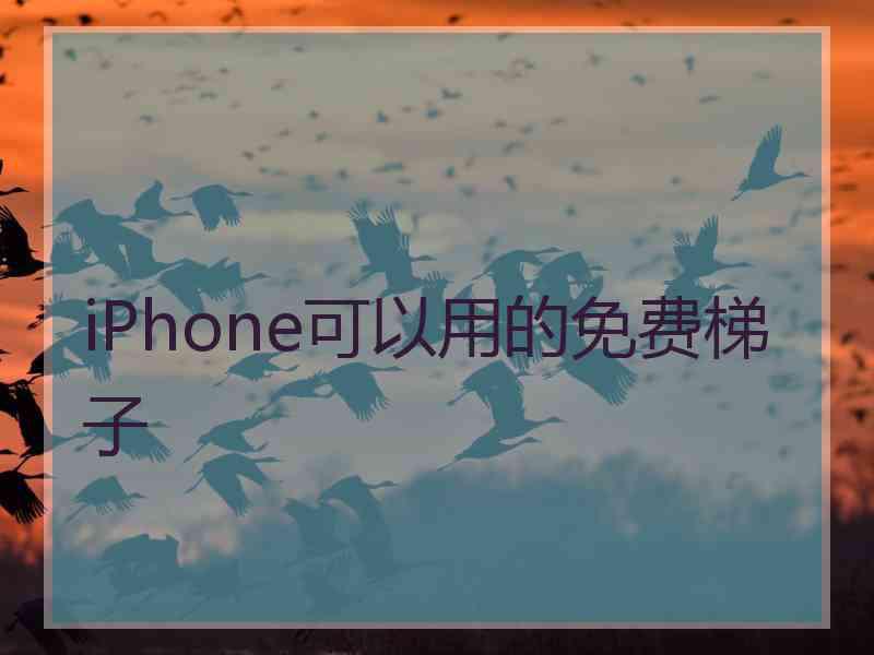 iPhone可以用的免费梯子