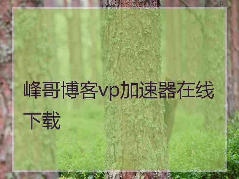 峰哥博客vp加速器在线下载