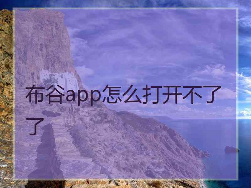 布谷app怎么打开不了了