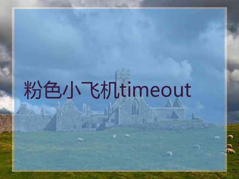 粉色小飞机timeout