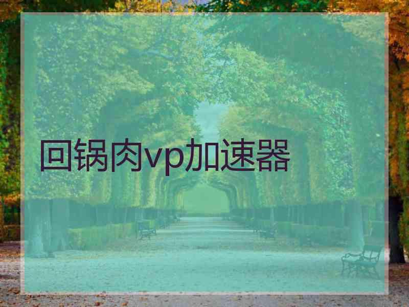 回锅肉vp加速器