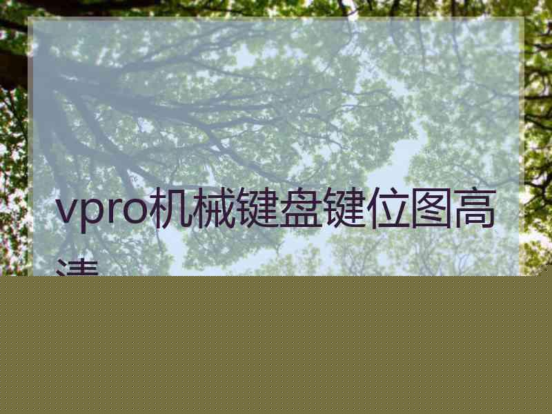 vpro机械键盘键位图高清