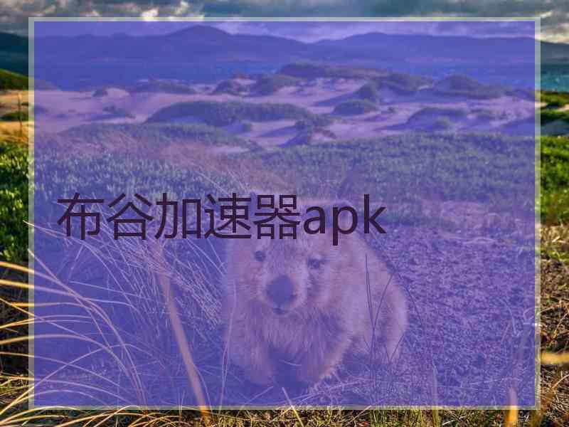 布谷加速器apk