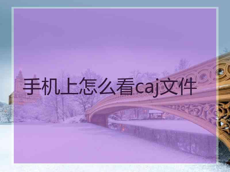 手机上怎么看caj文件