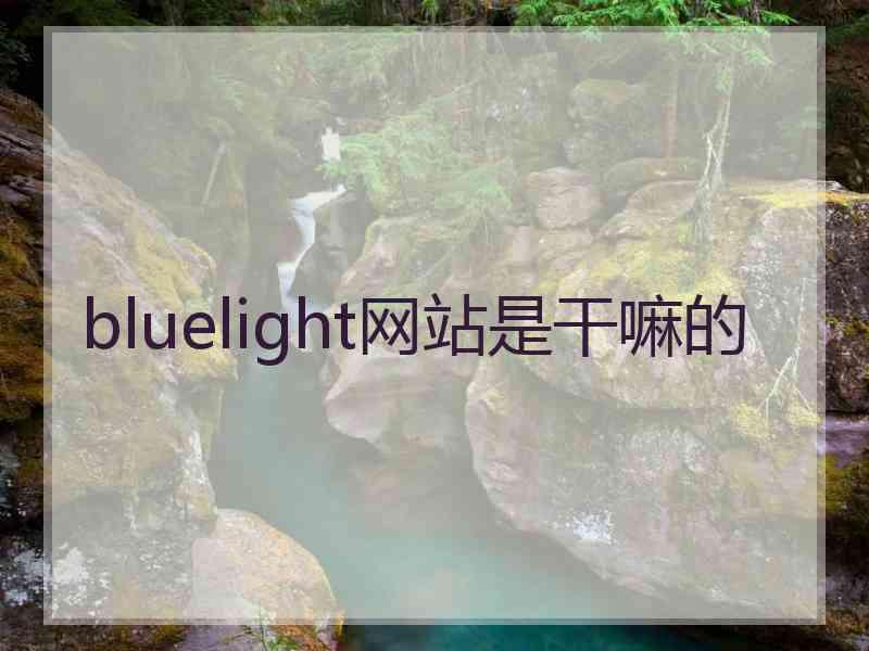 bluelight网站是干嘛的