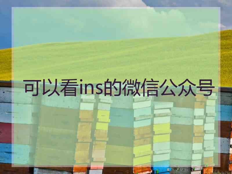 可以看ins的微信公众号