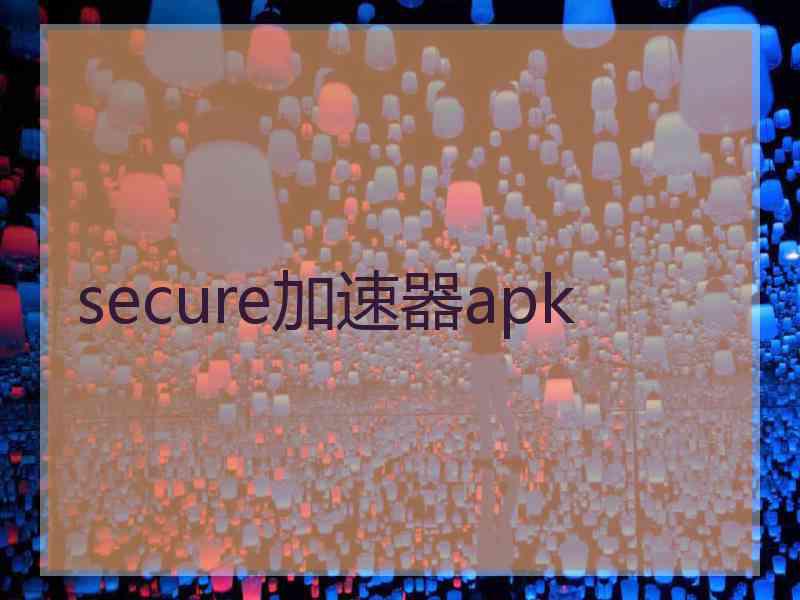 secure加速器apk