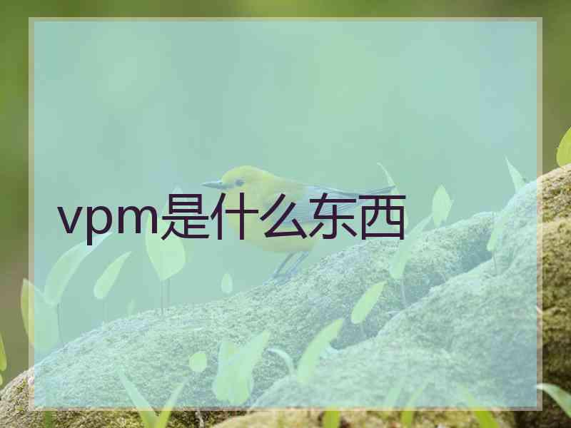 vpm是什么东西