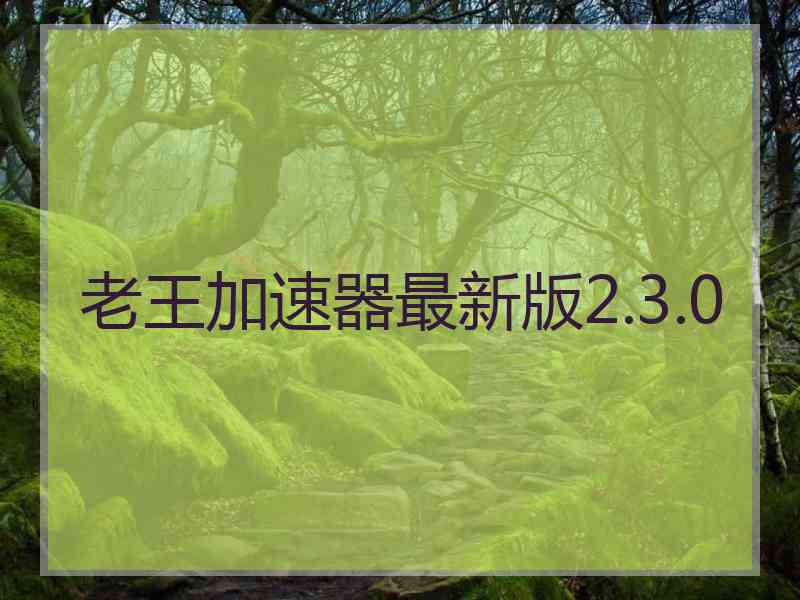 老王加速器最新版2.3.0