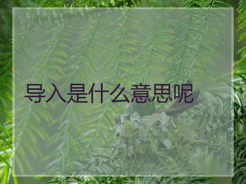 导入是什么意思呢