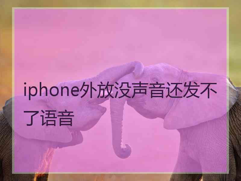 iphone外放没声音还发不了语音