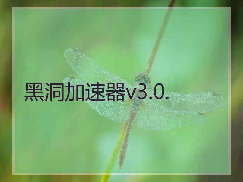 黑洞加速器v3.0.