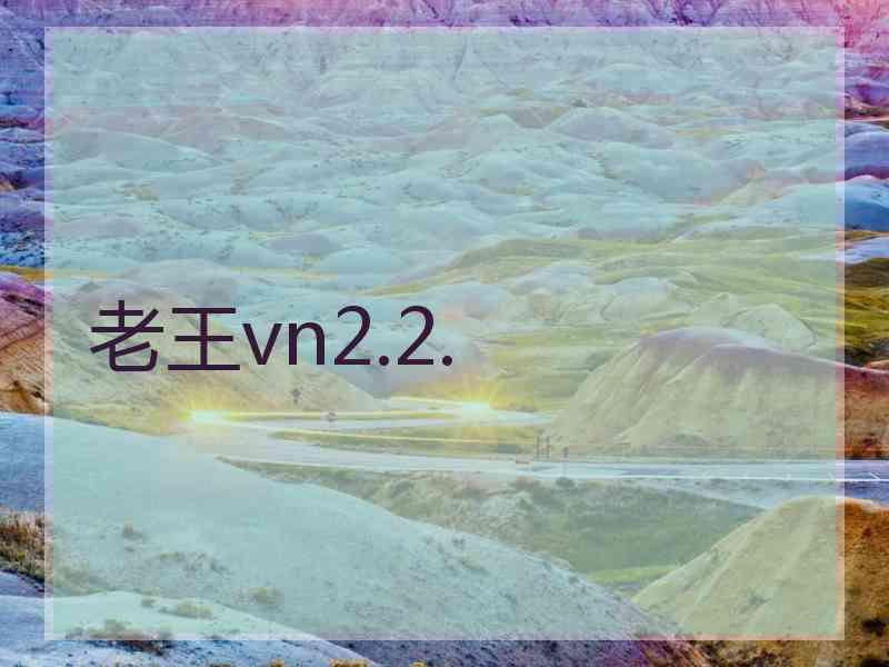 老王vn2.2.