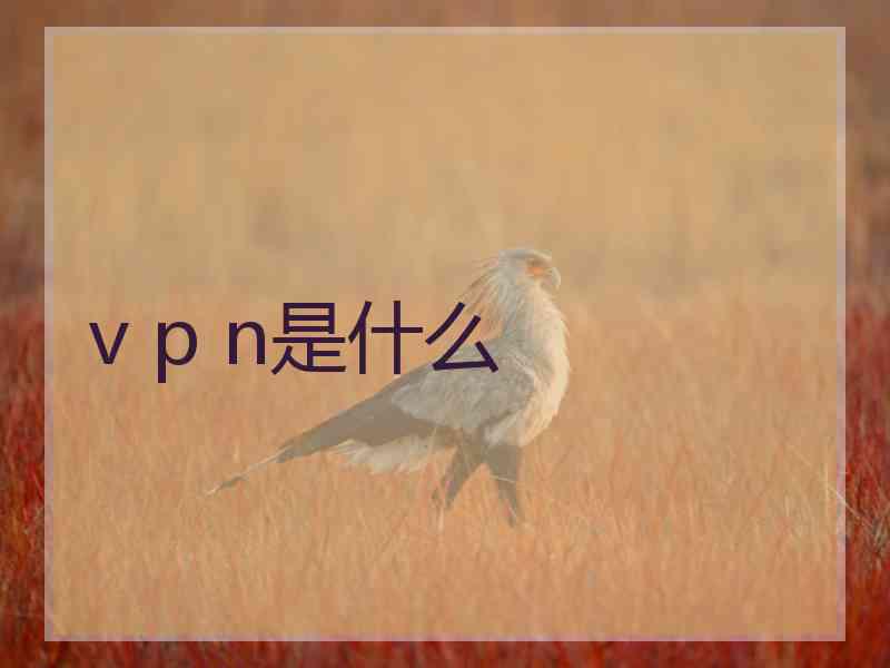 v p n是什么