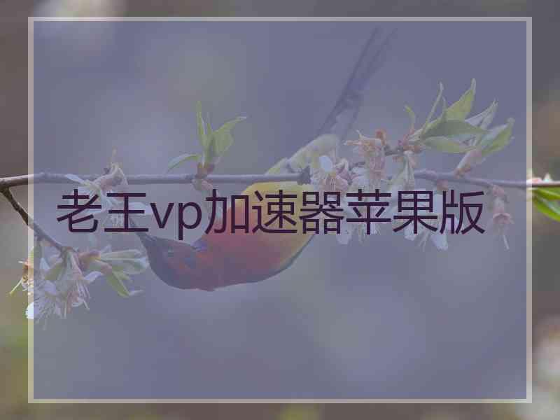 老王vp加速器苹果版