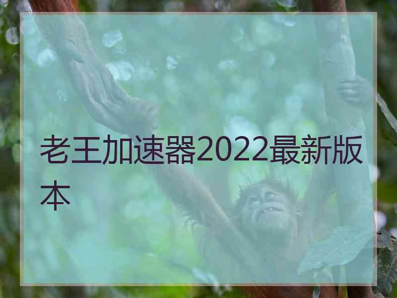 老王加速器2022最新版本