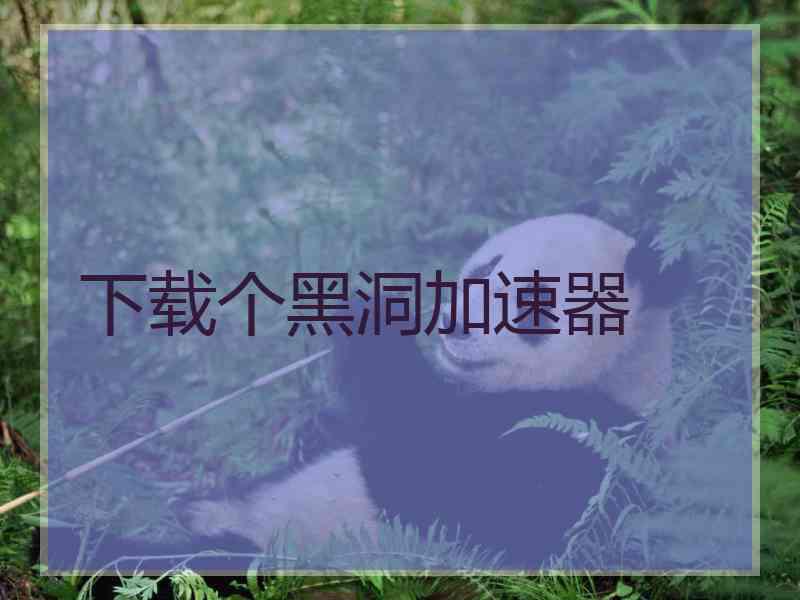 下载个黑洞加速器