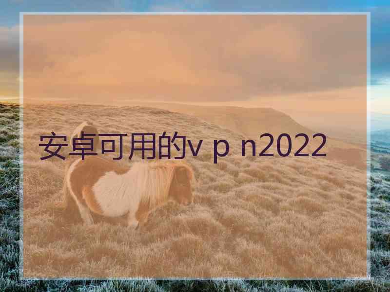 安卓可用的v p n2022