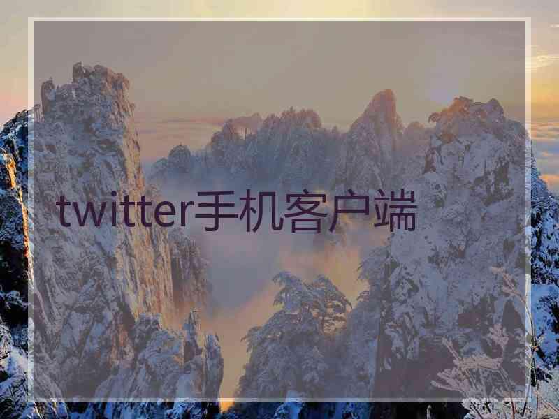 twitter手机客户端