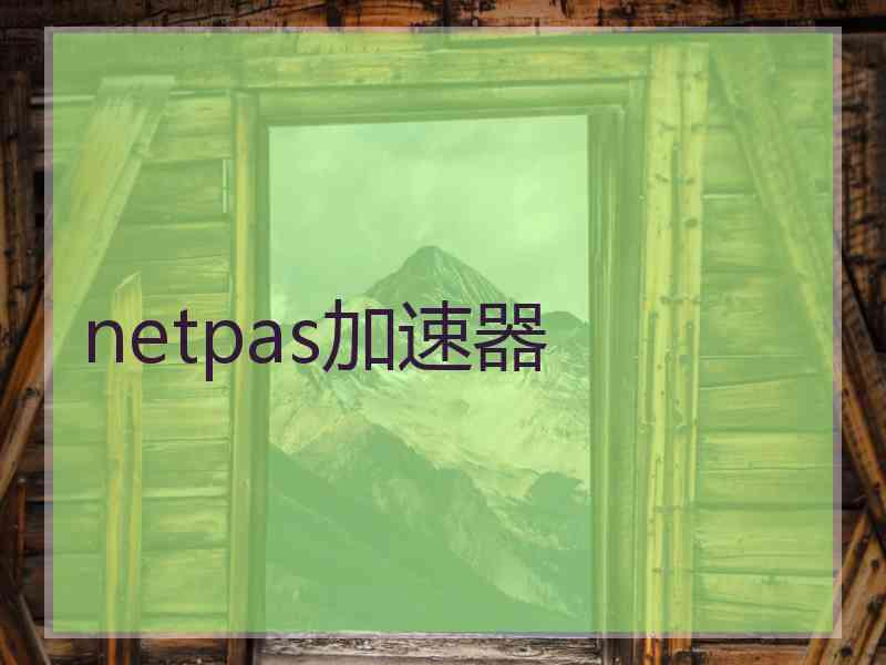 netpas加速器