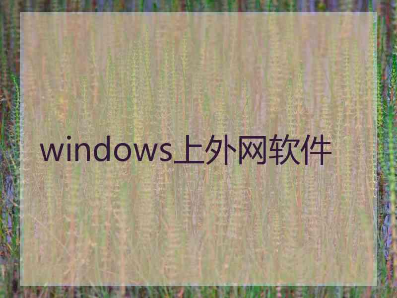 windows上外网软件