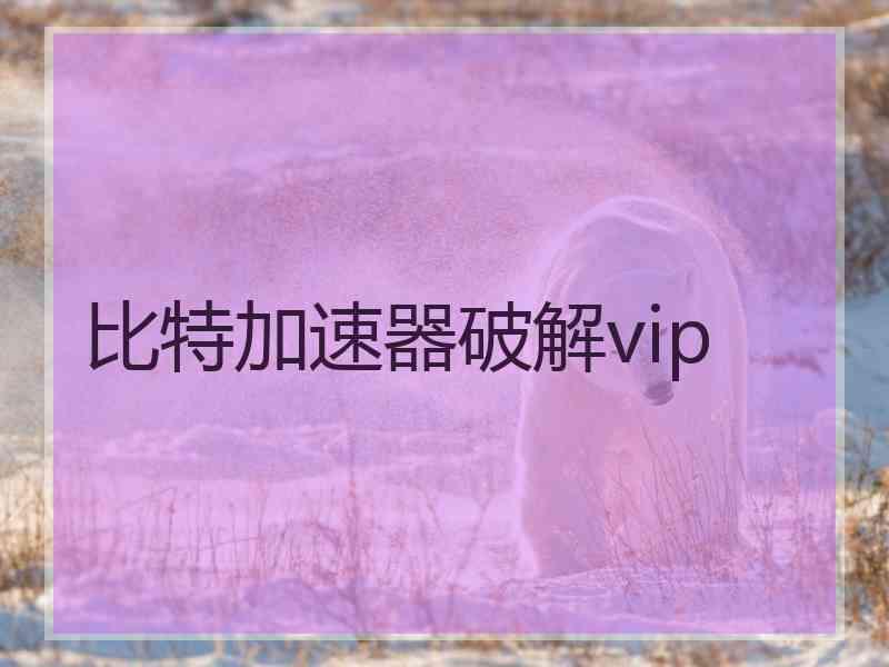 比特加速器破解vip