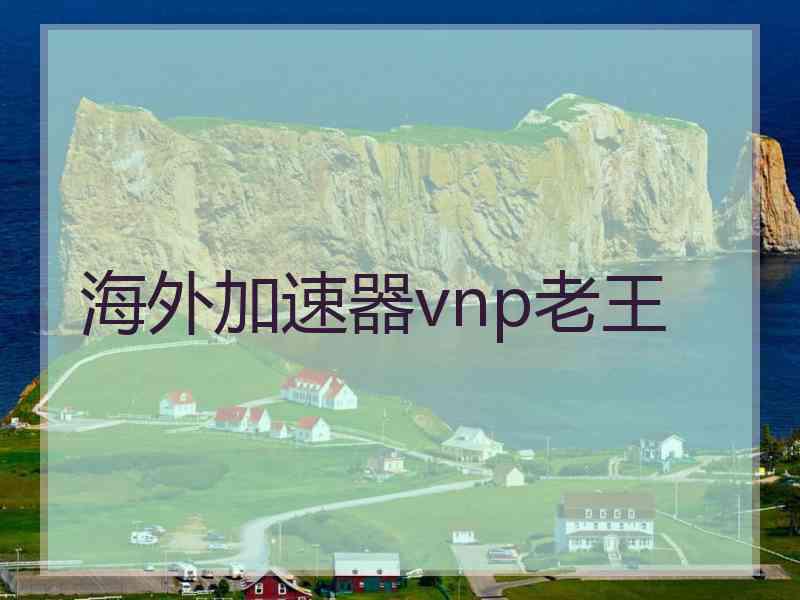 海外加速器vnp老王