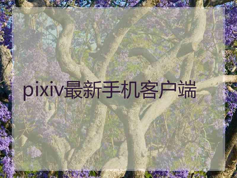 pixiv最新手机客户端