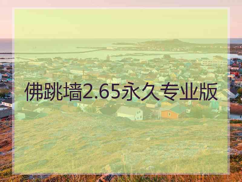 佛跳墙2.65永久专业版