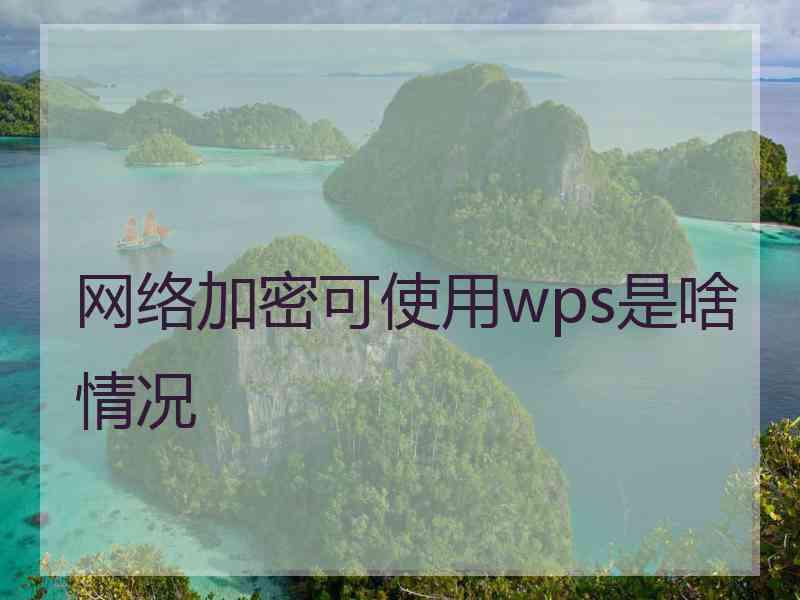 网络加密可使用wps是啥情况