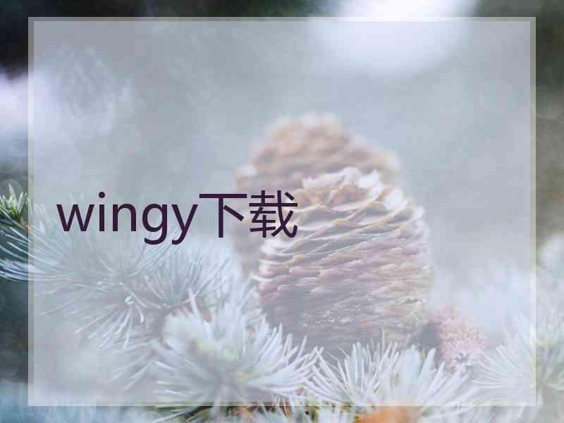 wingy下载