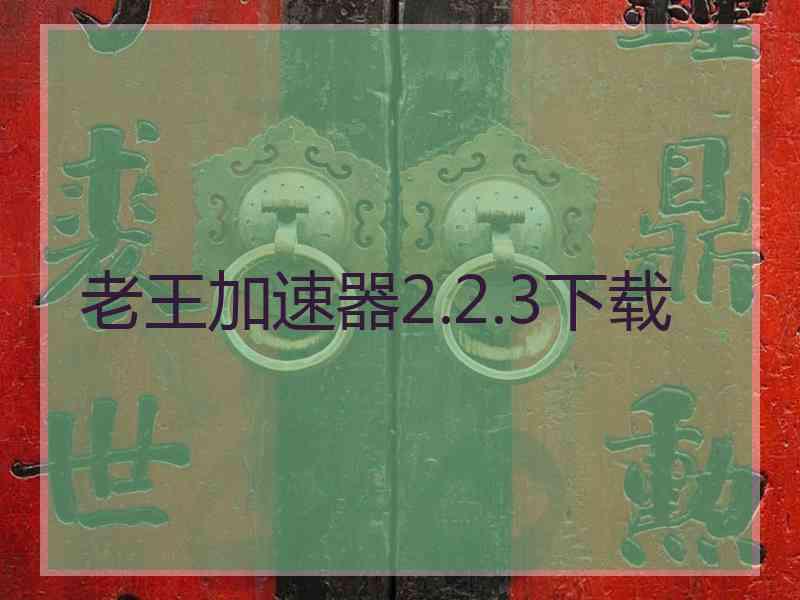 老王加速器2.2.3下载