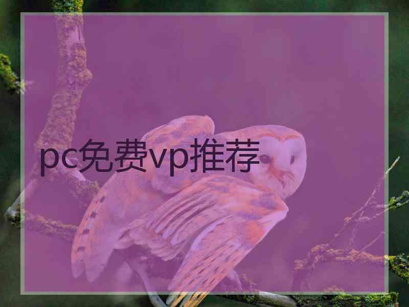 pc免费vp推荐